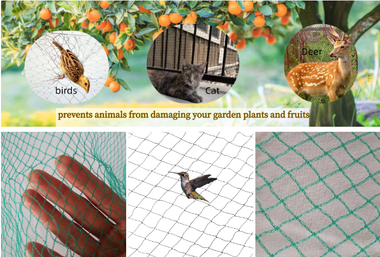 ¿Cómo las redes antipájaros evitan que los pájaros se coman los árboles frutales?