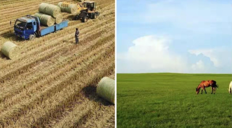 ¿Cuál es la ventaja de usar Bale Net Wrap?