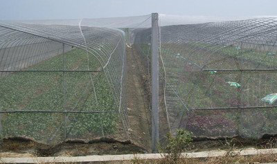 Las redes antihielo juegan un papel importante en la protección del medio ambiente