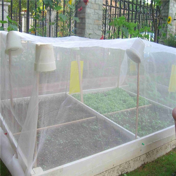 Rango de aplicación y efecto de la red de control de insectos en invernaderos.