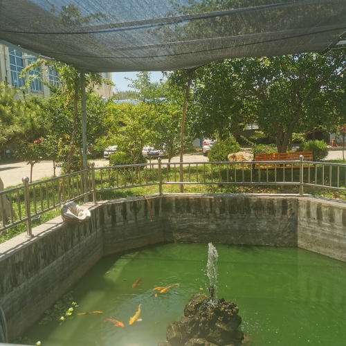 Hermosa y práctica red para sombrilla para estanque de peces.