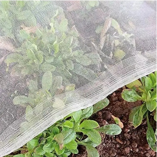 Cómo elegir mosquiteras en verano