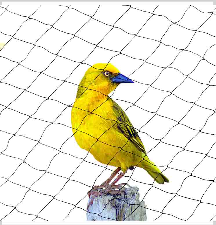 ¿Se puede reutilizar o reciclar la red para pájaros?