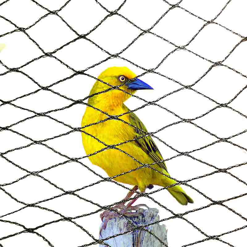 ¿Qué colores son adecuados para las redes antipájaros?