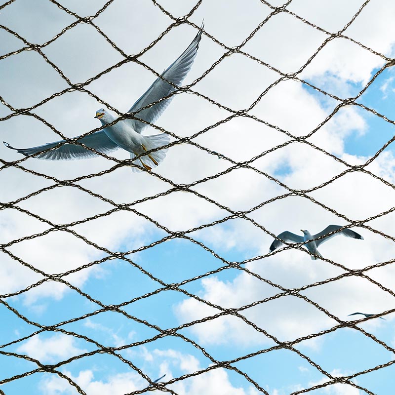 ¿Cómo elegir una red antipájaros de buena calidad?