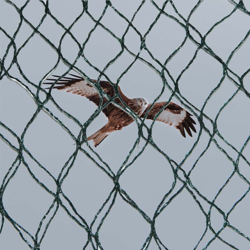 ¿Cuáles son las opciones de materiales y las ventajas y desventajas de las redes de prevención de aves?