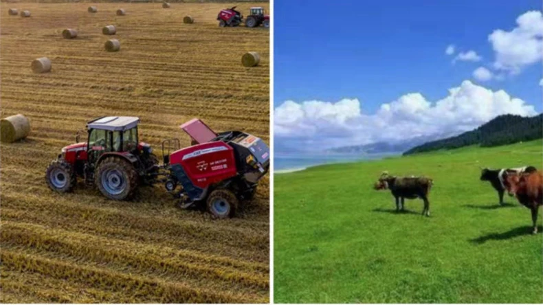 La aplicación de la envoltura con red para balas en actividades agrícolas.