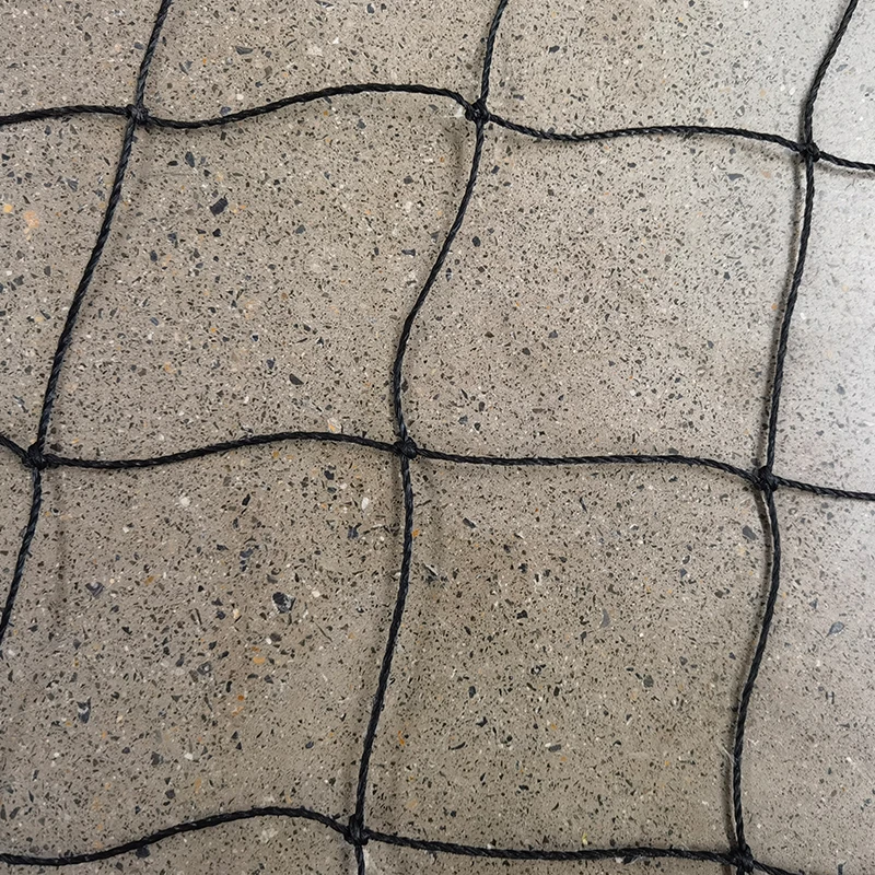 El papel de las redes de cricket