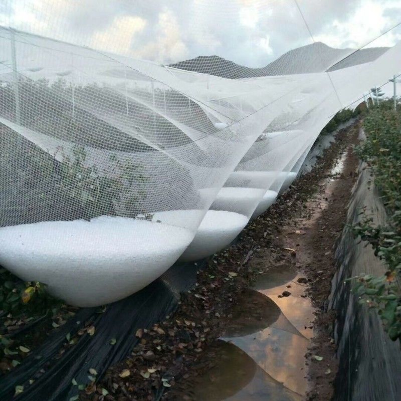 ¿Qué es la red contra granizo?