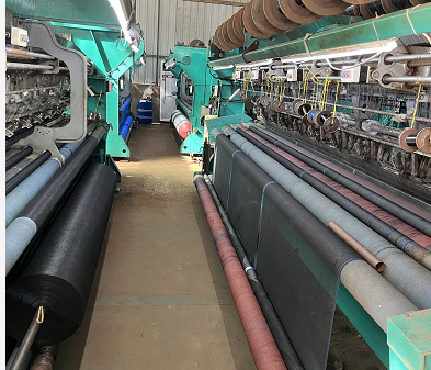 Yantai Double exhibe la producción profesional de redes antipájaros y redes de sombra