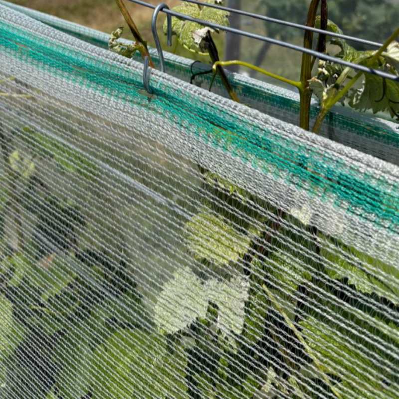 Red antigranizo de HDPE para agricultura