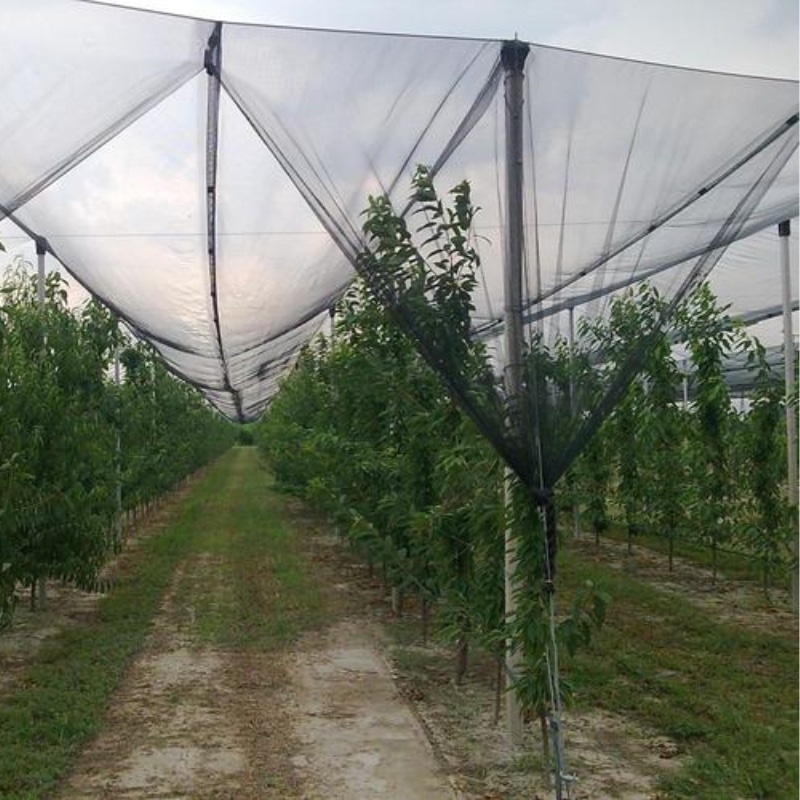 Red antigranizo plástica para agricultura