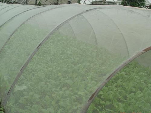 Red de Protección Agrícola