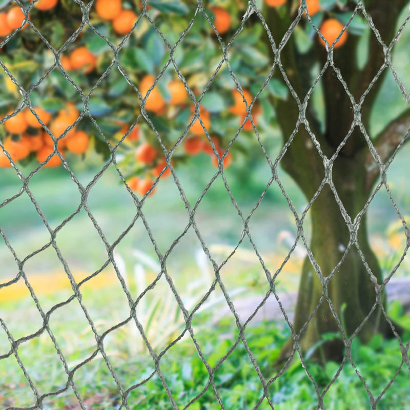 Barreras para animales con redes para pájaros