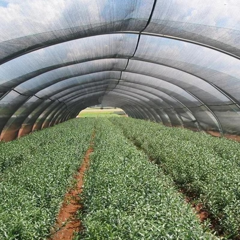 Tela de sombra de jardín para plantas 40% bloqueada por el sol