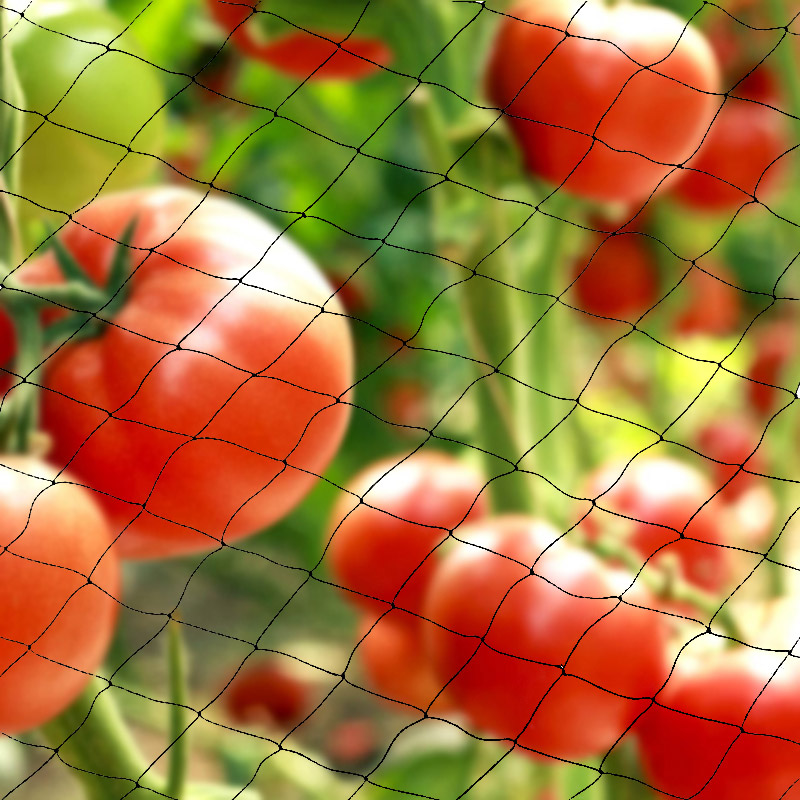 Red antipájaros de HDPE