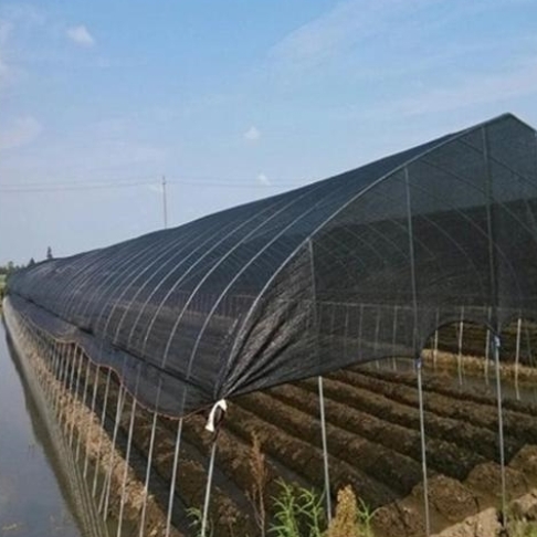 Red de sombrilla de HDPE